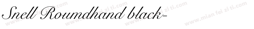 Snell Roumdhand black字体转换